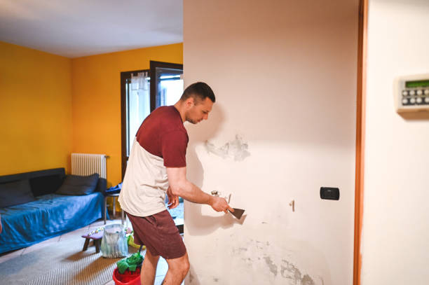 South Miami, FL Mold Removal Company